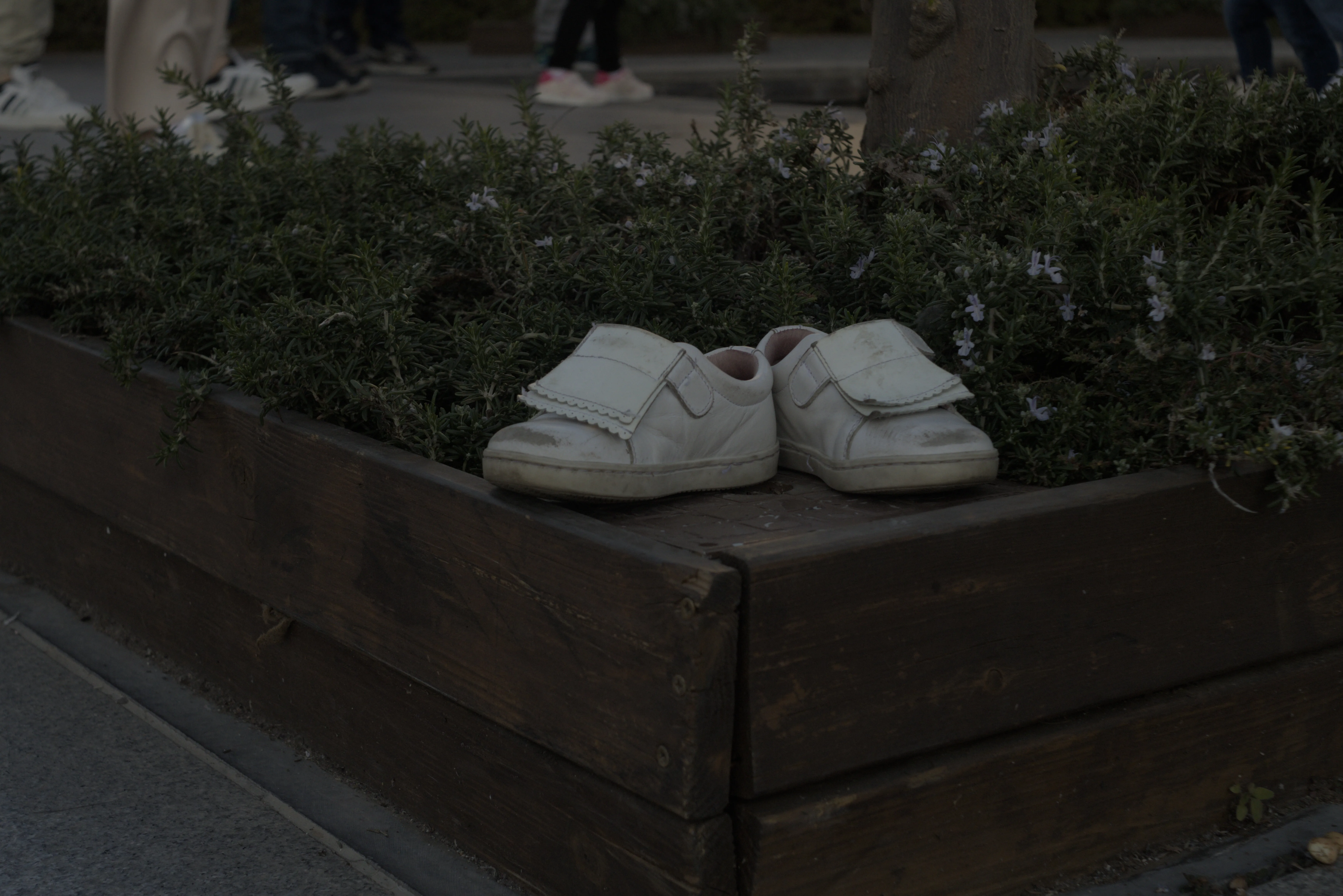 Meyer-Optik Görlitz Primagon 35mm f4.5 (M42) - _I4A4526.webp